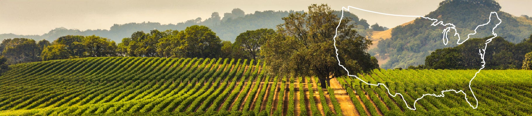 Producers - Region USA - Vino Veritas