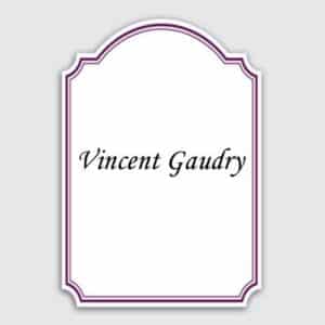 Vincent Gaudry