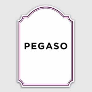 Pegaso