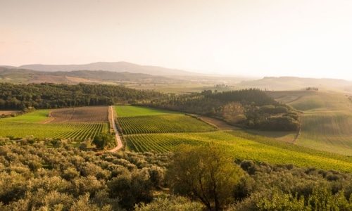Bibbiano Bottom