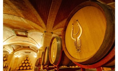 Bodega Martinez Saez Bottom