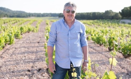 Bodegas Olivares Bottom
