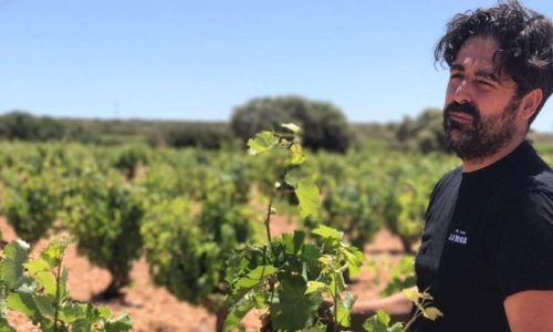 Bodegas Venta la Vega Bottom