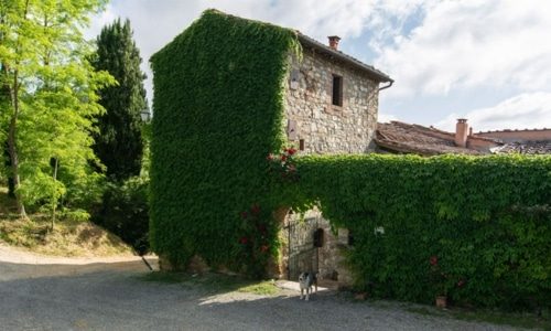 Buondonno Bottom
