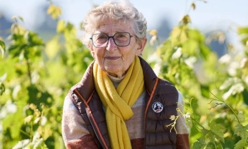 Château Haut-Segottes Bottom