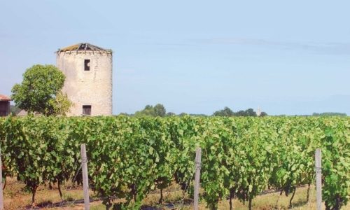 Château Laubespin Bottom