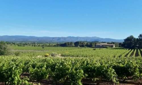 Chateau Massiac Bottom