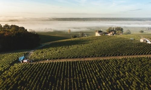 Château Pavie Bottom