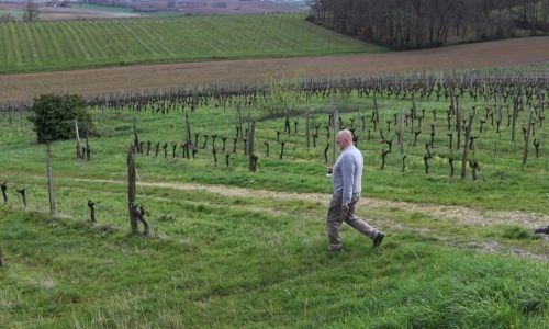 Christophe Avi Bottom