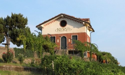 Conterno Nervi Bottom