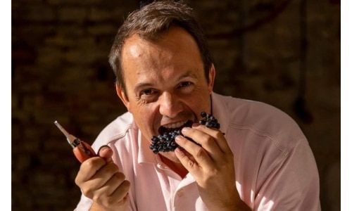 Domaine Bitouzet-Prieur Bottom