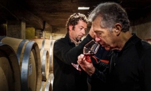 Domaine Harmand-Geoffroy Bottom 2