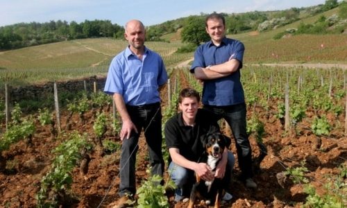 Domaine Henri & Gilles Buisson Bottom
