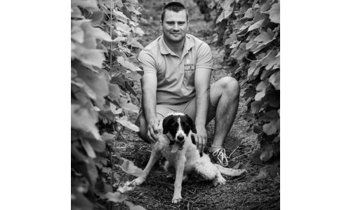 Domaine Lagille Bottom