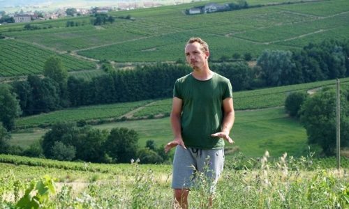 Domaine Les Roches Bleues Bottom