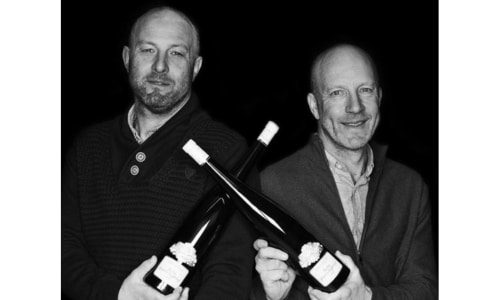 Domaine Maurice Schoech Bottom