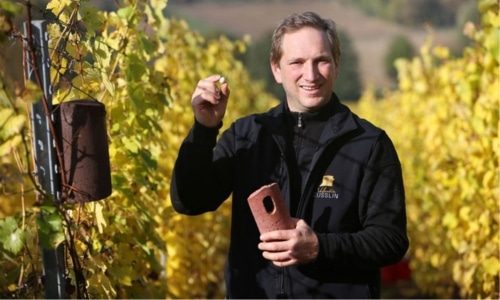 Domaine Valentin Zusslin Bottom