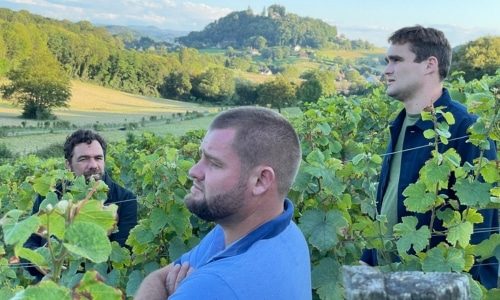 Domaine de Montbourgeau Bottom