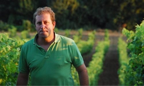 Domaine de Pallus Bottom