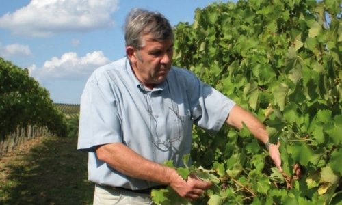 Domaine des Cassagnoles Bottom
