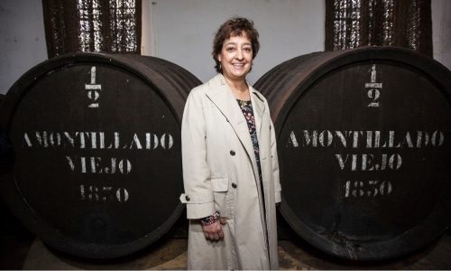 El Maestro Sierra Bottom