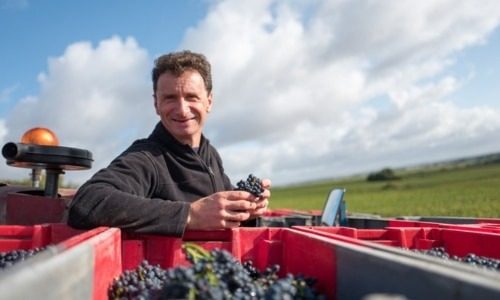 Hubert Lignier Bottom