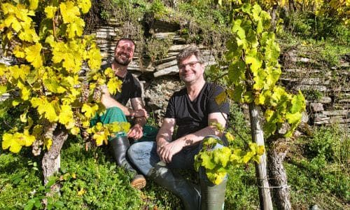 Immich Batterieberg Bottom