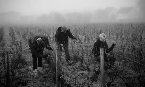 Jerome Chezeaux Bottom