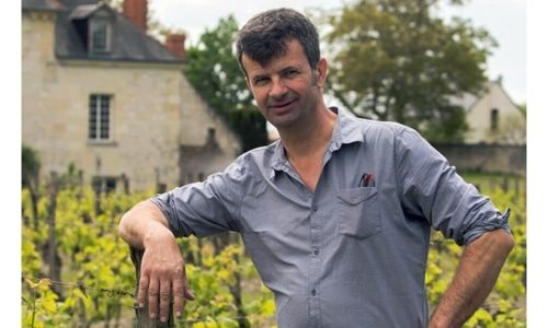 Marc Plouzeau Bottom