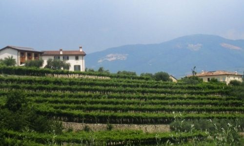 Monte dall’Ora Bottom