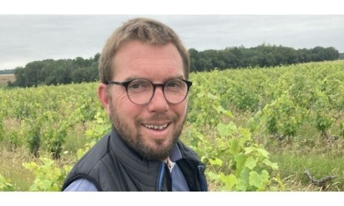 Pierre-O Bonhomme Bottom