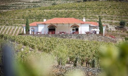 Quinta do Infantado Bottom