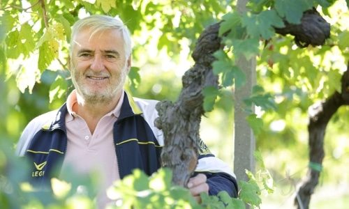 Tommaso Bussola Bottom