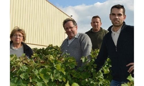 Vignoble Dauny Bottom